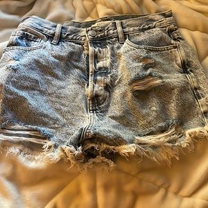 Pacsun Vintage High Rise Shorts